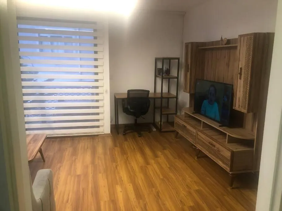 Furnished Apartment For Rent Istanbul 0*,  Turkey